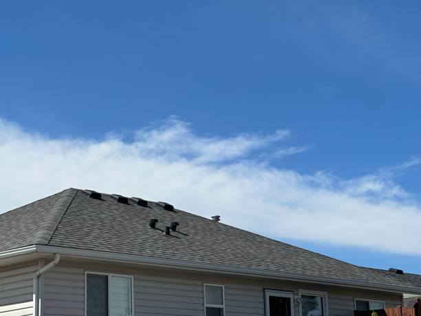 Best Asphalt Shingles Roofing  in Kendall Park, NJ